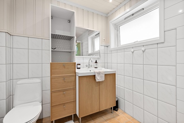 Toilet - Dual Flush Elongated