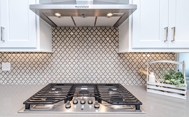Gas Range Oven - Professional Grade