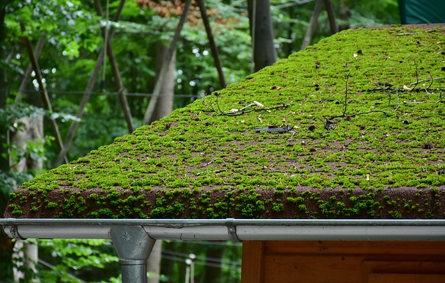 Metal Roofing Panels - Steel