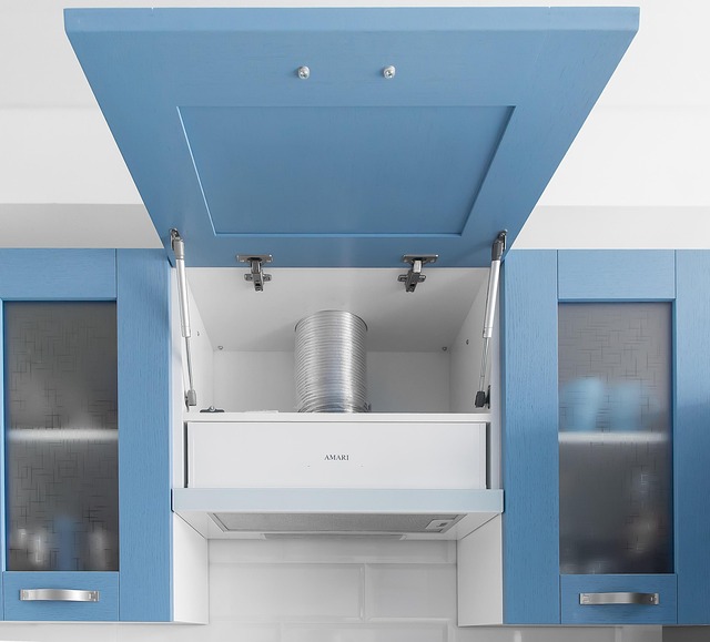 Range Hood - Professional