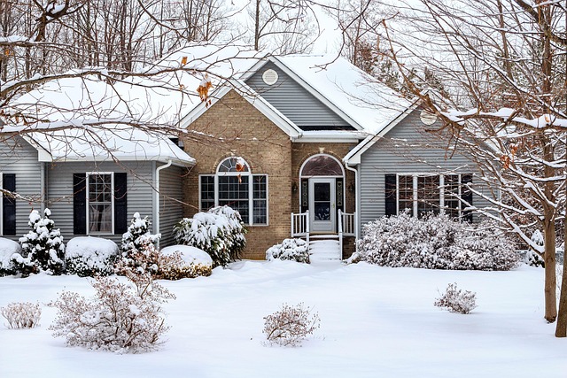 Vinyl Siding - Premium